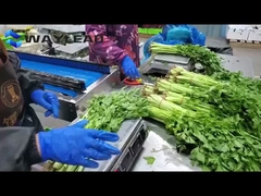 Atıştırmalık Kurabiye Yastık Paketleme Makinesi Otomatik Şekerlik Paketleme Ekipmanı