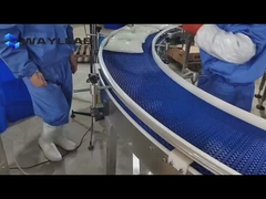 Hindistan cevizi üretim hattı