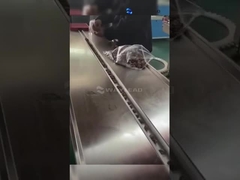 Otomatik HFS yatay akışlı sarma makinesi Ticari dondurma paketleme makinesi WZ-220