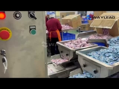 Çuval ambalaj makinelerinin verimli çalışma sürecini izlemeye hoş geldiniz.