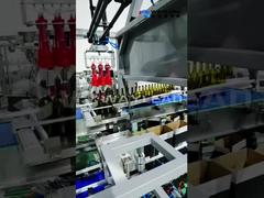 Automated Case Packer Two-axis robotic box packer Robotic Case Packing Machine