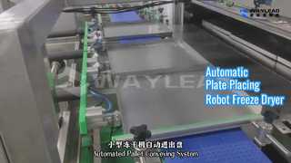 Otomatik Plaka Yerleştirme Robotu Dondurarak Kurutucu