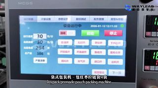 Hızlı Sıvı Torba Paketleme Makinesi WG250