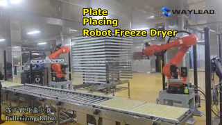Otomatik Plaka Yerleştirme Robotu Dondurarak Kurutucu Paketleme makinesi