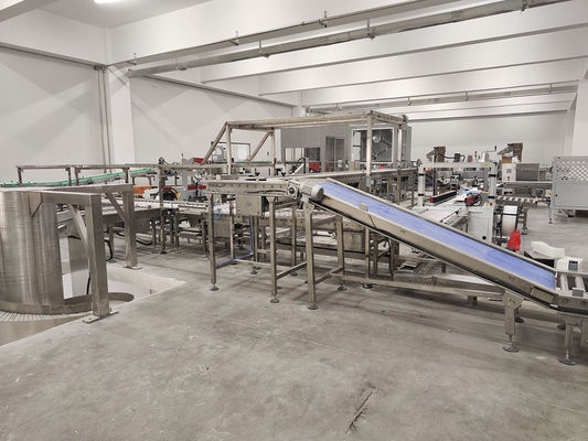 30 M/min besleme hızı Kağıt torbalar için bisküvi ambalajlama hattı Genişlik aralığı 180mm430mm