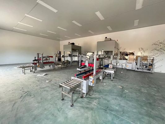 Formasyon Fonksiyonu Otomatik Paketleme hattı 35-150 torba/dakikada Karton Boyutu için 250-350g/m2