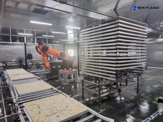 Dondurarak Kurutma Üretim Hatları için Özelleştirilmiş Yüksek Verimli Otomatik Plaka Yerleştirme Robotu